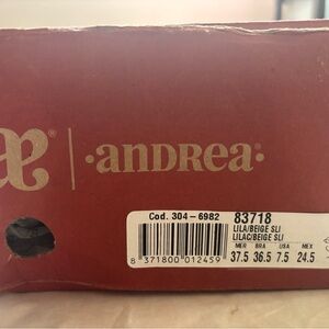 Andrea Lilac and Beige Shoes